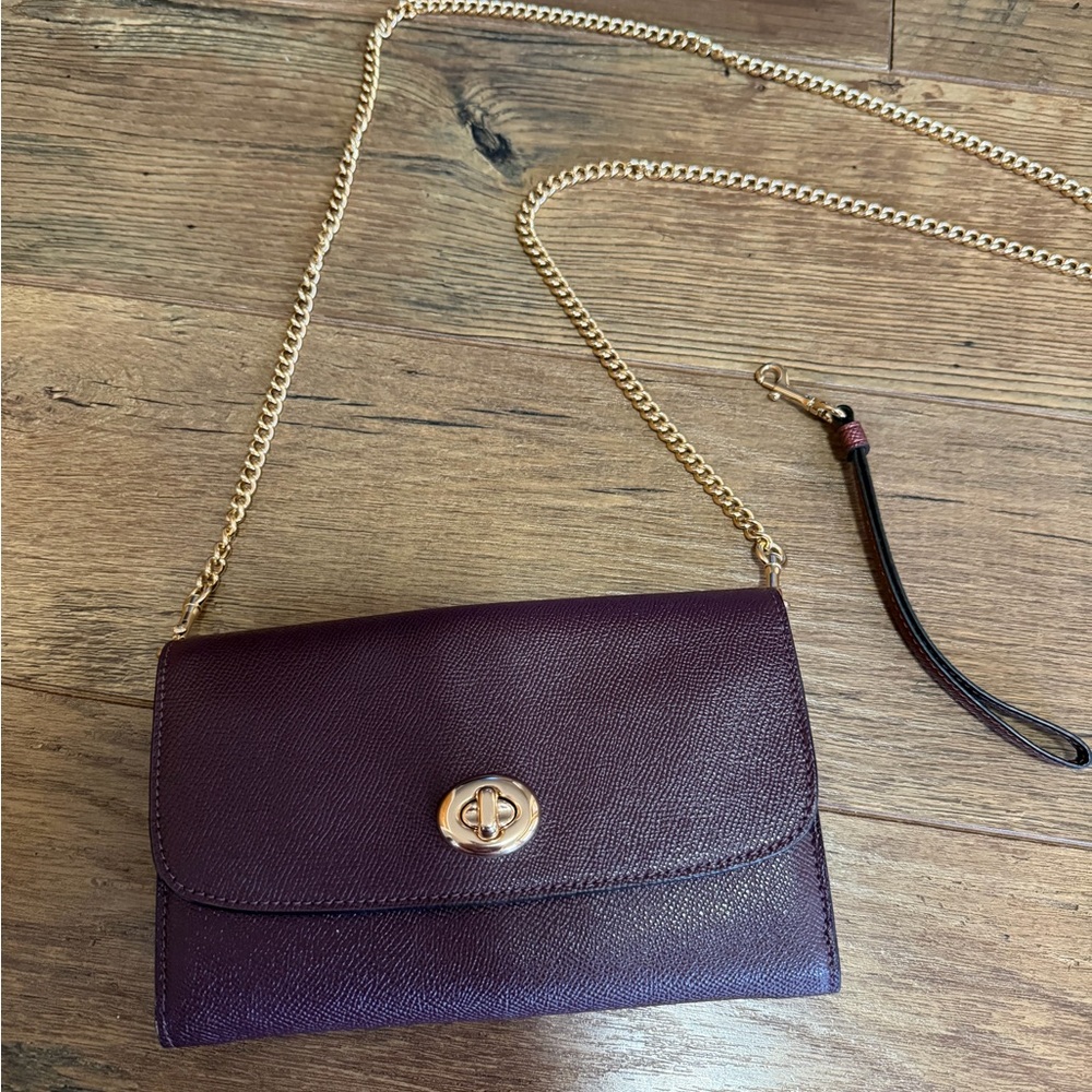 Coach Deep Purple and Metallic Crossbody Bag with Gold Chain